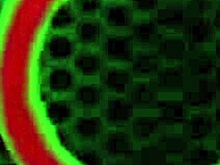 rome major slams bootylicious kaden kole's ass then sperms her cheeks