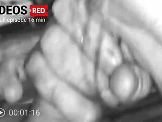 Housewife sucks cock hungrily on couch now!