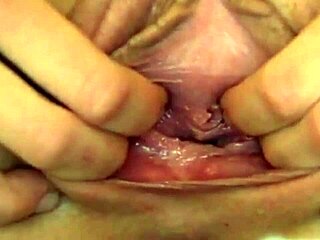 Intimate Close-Ups Reveal Dripping Wet Spread Pussy Clit