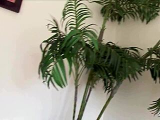 curvy ebony with saggy tits slurps monster cock then gets fucked hard