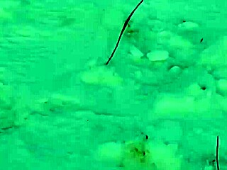 Jerking off in public park right near people feels so risky!