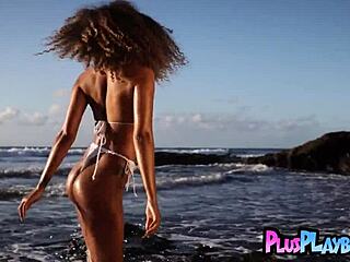 Curly Ebony Jossa Nova Strips Lingerie Revealing Perfect Big Ass