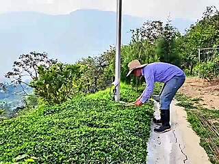 jardinero, fuck me better than my husband ever could