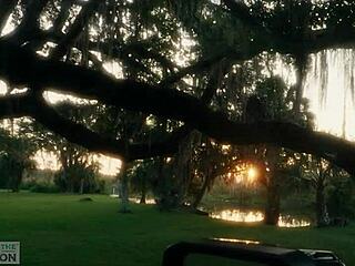 Ready for this humiliated slut to crawl from the lagoon, kneel, rim ass and swallow piss?