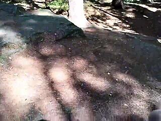 ladyboy grabs glass dildo for solo ass play on the road quick