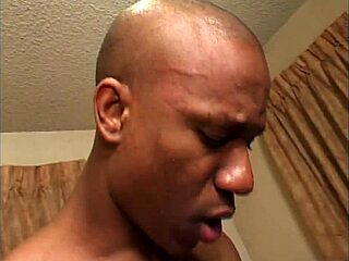 high class ladies volume 1 scene 1 unfolds elegantly