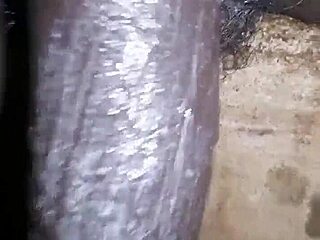 Ready to watch Bigblackie shave his monster black cock?