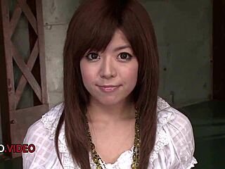 miyu aoi crave double penetration group blowjobs?