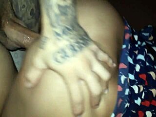 allan guerra gomes mma fighter channel sample