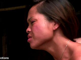 im the asian slut gettin anal wrecked by big cocks outdoors