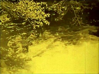 Vintage Erotic Art Collection