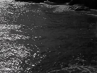 Vintage Erotic Art Collection