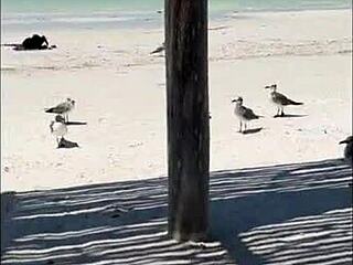 Nympho Redhead Teases Creamy Pussy On Beach In Homemade Paradise Vlog