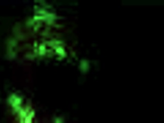 Vintage Erotic Art Collection from Antique Era