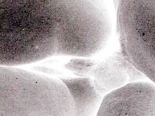 Vintage Erotic Art Collection from Antique Era