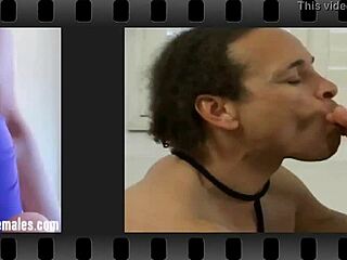 sorority femdom mistress demands bold new domination house now