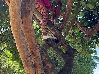 At Carnaval she CLIMBS tree for STRANGER pussy FUCK and cum SWALLOW