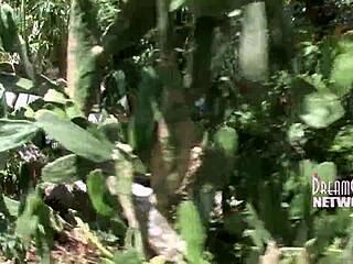 university girl caught flashing tits in public outdoor spot