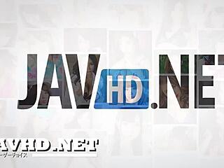 japanese girls show off stockings pantyhose and leggings in hd vol 15