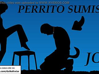 become my personal pet dog with hot spanish joi voice!