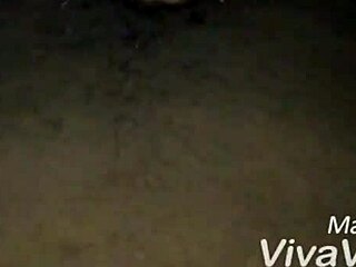 Ebony babes ride black cocks in squirting webcam compilation.