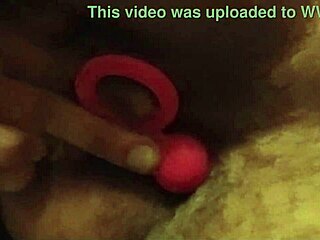 Plug Piqued Sparks Chubby Solo Toy Play