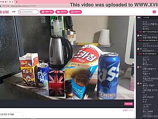 Young Korean Couple Films Intimate Homemade Sex Session in Cozy Hotel Room