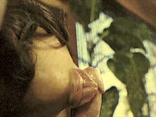 God, Dark Lantern's Dragonfly Freddie rocks retro beaver!