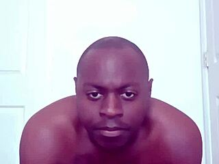 masked dancer remakes fluids in blurry face mosaic style