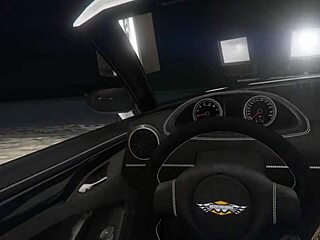 Curious about first-person GTA 5 hooker ride in the car turning steamy?