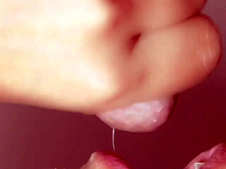 young stepmom gives blowjob