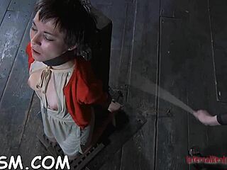 Shaved Girl Caged With Cum-Hole Exposed For Hardcore Doggy Pounding