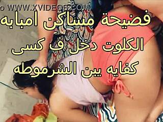سكس عربى نااار فضيحة امال شرموطة مساكن امبابه